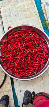 팜모닝 👍팜이웃 칭찬해요!·참여글 게시글 이미지