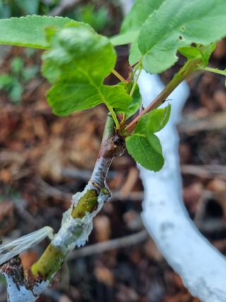 김용대님의 자유주제 · 자유게시판 작성글 사진