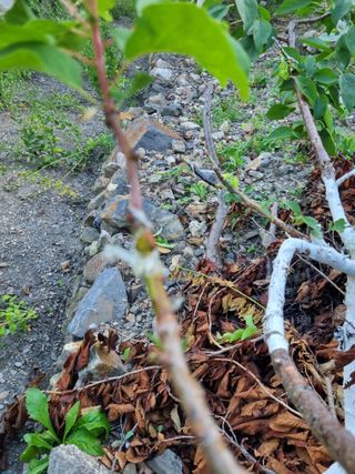 김용대님의 자유주제 · 자유게시판 작성글 사진