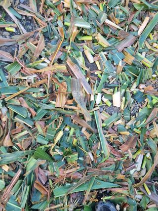 김용대님의 자유주제 · 자유게시판 작성글 사진