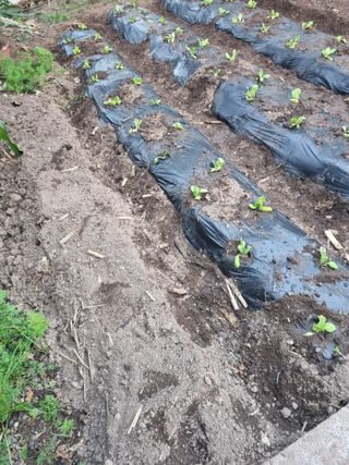 김용대님의 자유주제 · 자유게시판 작성글 사진