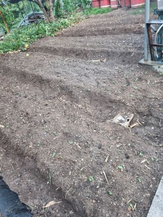 김용대님의 자유주제 · 자유게시판 작성글 사진