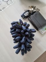 팜모닝 자유주제·자유게시판 게시글 이미지