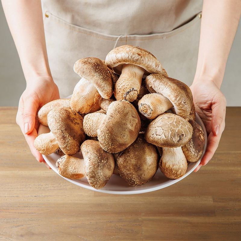 장터 상품 [[기본]저온성 표고버섯 은화고/500g] 썸네일