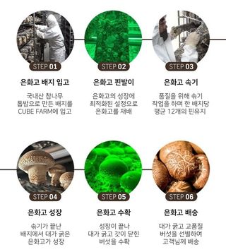 토리팜님의 작성글 사진