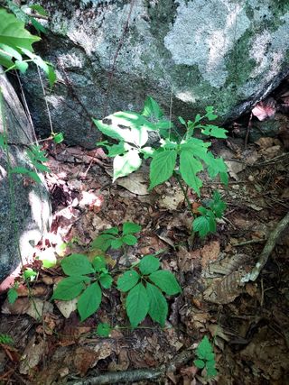 몽자아빠님의 자유주제 · 자유게시판 작성글 사진