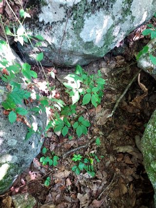 몽자아빠님의 자유주제 · 자유게시판 작성글 사진