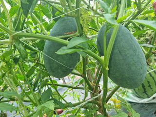 류수천님의 자유주제 · 자유게시판 작성글 사진