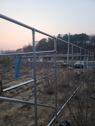 탑립탑님의 자유주제 · 자유게시판 작성글 사진