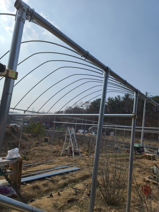 탑립탑님의 자유주제 · 자유게시판 작성글 사진