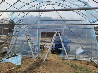 탑립탑님의 자유주제 · 자유게시판 작성글 사진