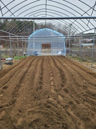 탑립탑님의 자유주제 · 자유게시판 작성글 사진