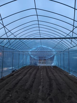 탑립탑님의 자유주제 · 자유게시판 작성글 사진