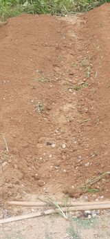 팜모닝 배추·영농일지 게시글 이미지