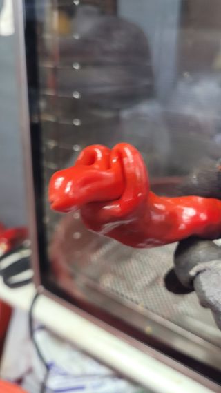 포항 농민66님의 고추 · 영농일지 작성글 사진