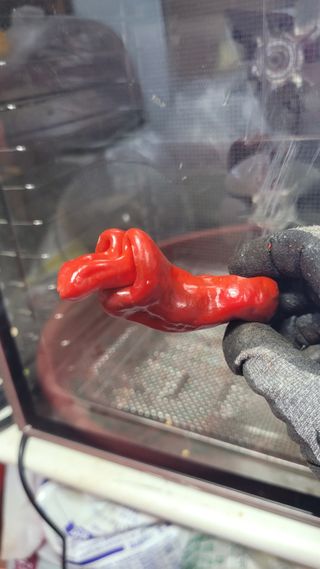 포항 농민66님의 고추 · 영농일지 작성글 사진