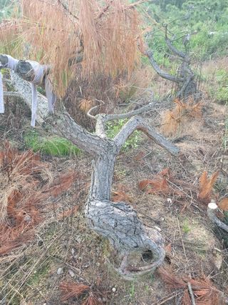 알 수 없음님의 자유주제 · 건의해요 작성글 사진
