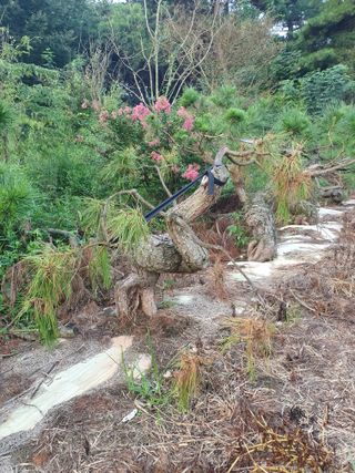 알 수 없음님의 자유주제 · 건의해요 작성글 사진