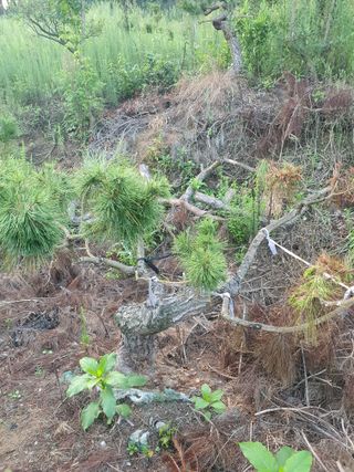 알 수 없음님의 자유주제 · 건의해요 작성글 사진