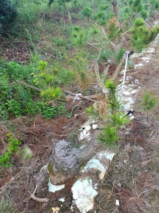 알 수 없음님의 자유주제 · 건의해요 작성글 사진