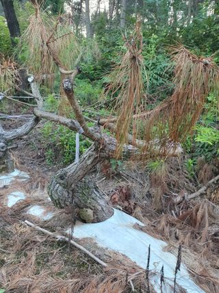 알 수 없음님의 자유주제 · 건의해요 작성글 사진