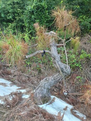 알 수 없음님의 자유주제 · 건의해요 작성글 사진