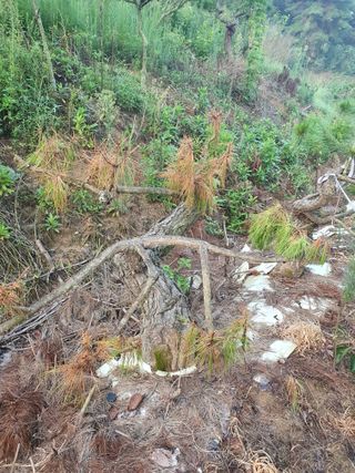 알 수 없음님의 자유주제 · 건의해요 작성글 사진