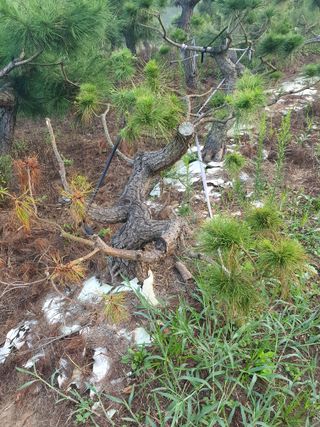 알 수 없음님의 자유주제 · 건의해요 작성글 사진