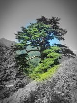 팜모닝 자유주제·사진전 게시글 이미지