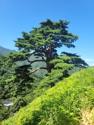 천지현황님의 자유주제 · 사진전 작성글 사진