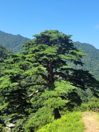 천지현황님의 자유주제 · 사진전 작성글 사진
