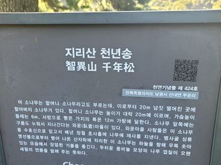 천지현황님의 자유주제 · 사진전 작성글 사진