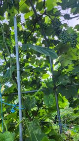 팜모닝 자유주제·사진전 게시글 이미지