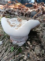 팜모닝 자유주제·자유게시판 게시글 이미지