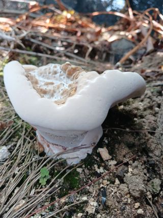 879412님의 자유주제 · 자유게시판 작성글 사진