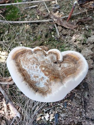 879412님의 자유주제 · 자유게시판 작성글 사진