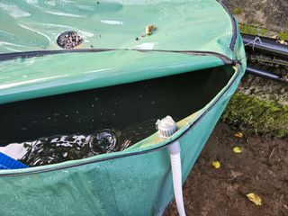 뿡뿡농장님의 배추 · 영농일지 작성글 사진