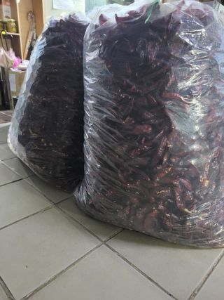 팜모닝회원논산농부님의 작성글 사진