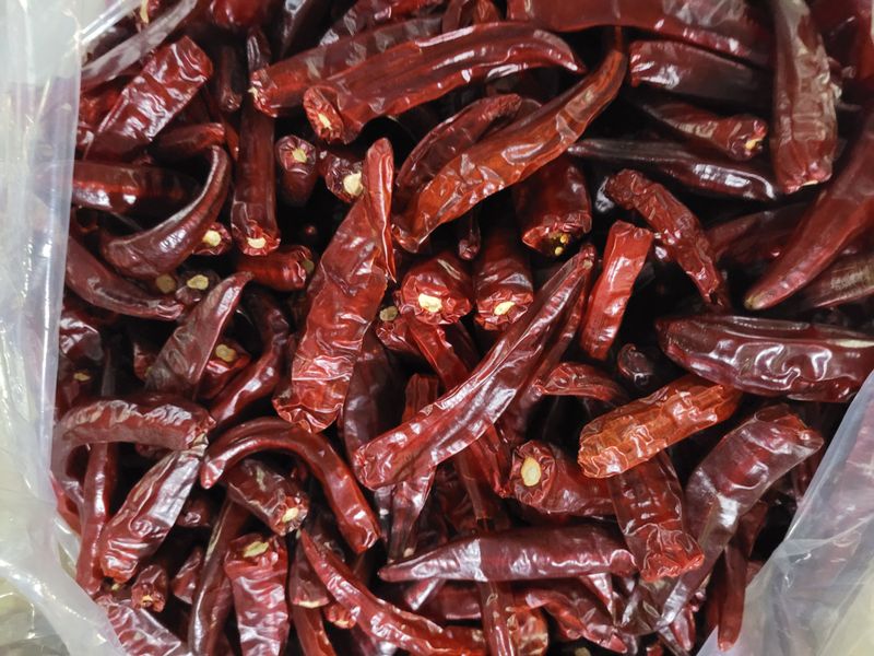 팜모닝회원논산농부님의 장터 판매 상품 [홍고추. 1kg] 첨부 사진