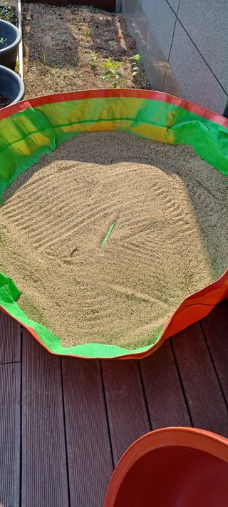 고풍마님님의 참깨 · 영농일지 작성글 사진