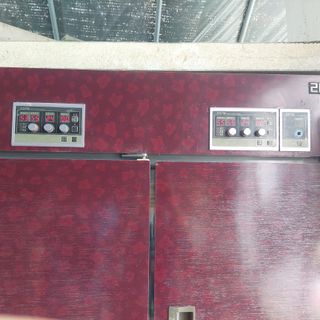 강원도 횡성군님의 고추 · 영농일지 작성글 사진