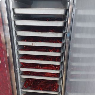 강원도 횡성군님의 고추 · 영농일지 작성글 사진