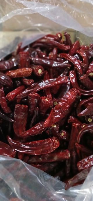 논산 농부 부인님의 작성글 사진