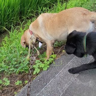 포도님의 자유주제 · 자유게시판 작성글 사진