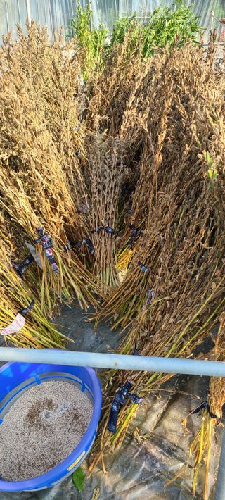 풀잎사랑님의 자유주제 · 자유게시판 작성글 사진