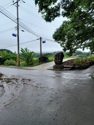 양용석님의 💚우리 동네 자랑하기 · 참여글 작성글 사진