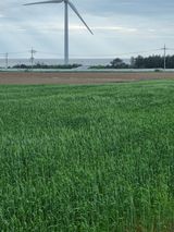 팜모닝 💚우리 동네 자랑하기·참여글 게시글 이미지