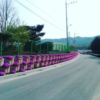 퍼피과수원님의 💚우리 동네 자랑하기 · 참여글 작성글 사진