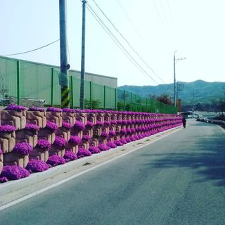 퍼피과수원님의 💚우리 동네 자랑하기 · 참여글 작성글 사진