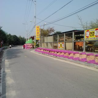 퍼피과수원님의 💚우리 동네 자랑하기 · 참여글 작성글 사진